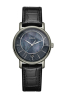 náhled Rado DiaMaster R14064915